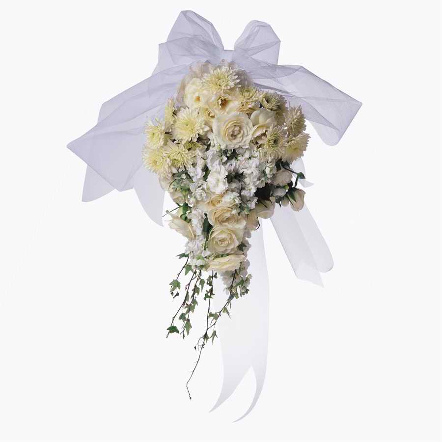 Just Flowers - Photodisc Object Series ></a>
<script language=JavaScript> 
  var txt = 