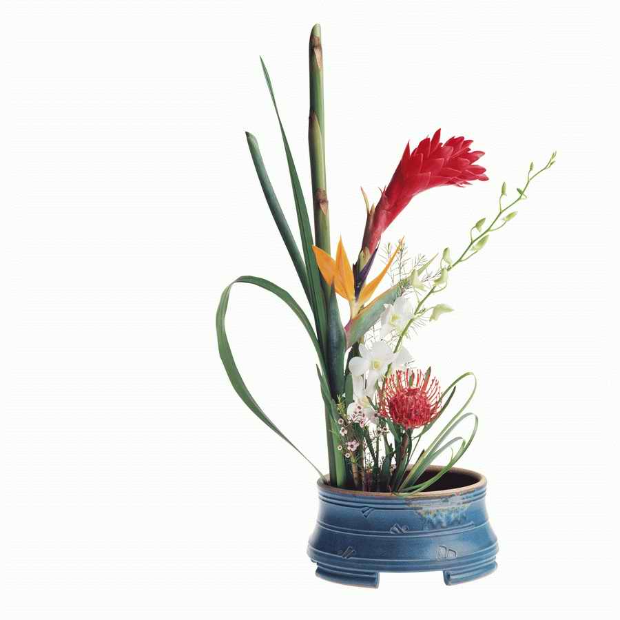 Just Flowers - Photodisc Object Series ></a>
<script language=JavaScript> 
  var txt = 