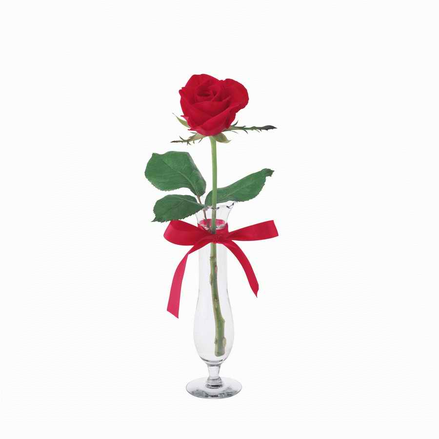 Just Flowers - Photodisc Object Series ></a>
<script language=JavaScript> 
  var txt = 