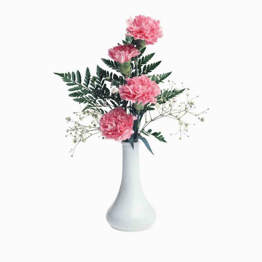 Just Flowers - Photodisc Object Series ></a>
<script language=JavaScript> 
  var txt = 