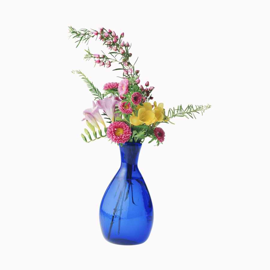 Just Flowers - Photodisc Object Series ></a>
<script language=JavaScript> 
  var txt = 