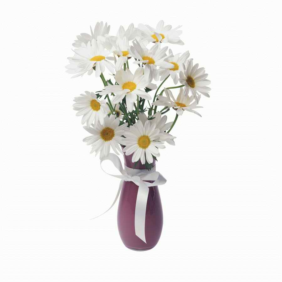 Just Flowers - Photodisc Object Series ></a>
<script language=JavaScript> 
  var txt = 