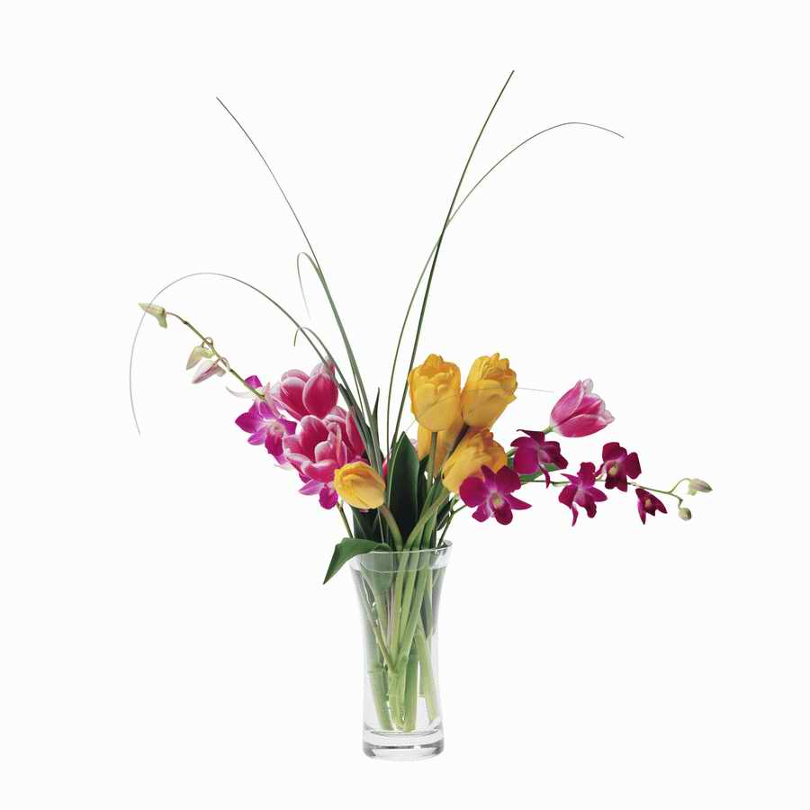 Just Flowers - Photodisc Object Series ></a>
<script language=JavaScript> 
  var txt = 