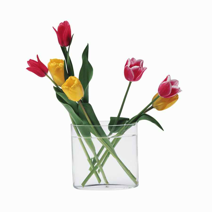 Just Flowers - Photodisc Object Series ></a>
<script language=JavaScript> 
  var txt = 