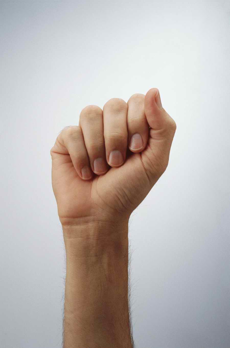 Just Hands - Photodisc Object Series ></a>
<script language=JavaScript> 
  var txt = 