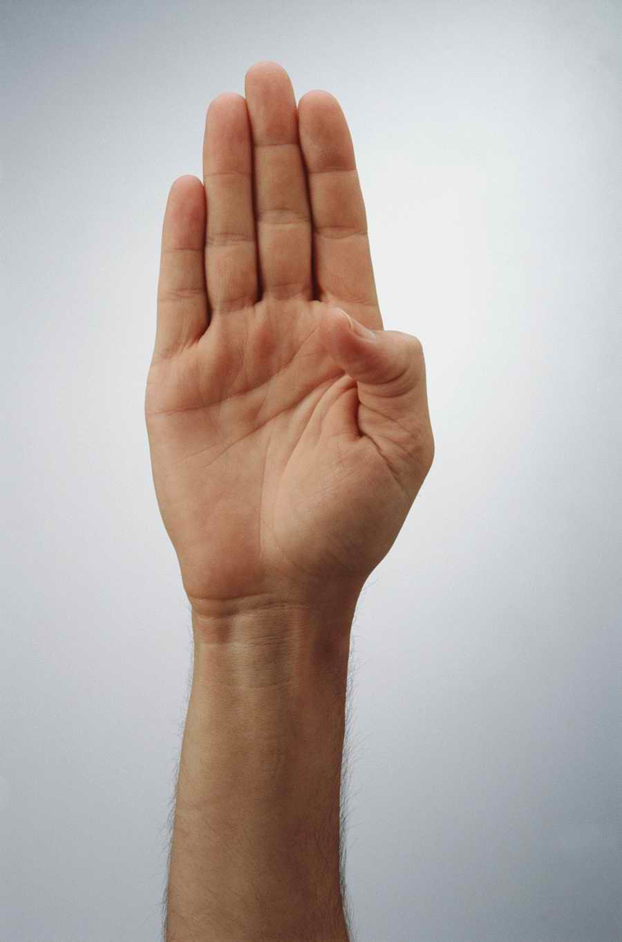 Just Hands - Photodisc Object Series ></a>
<script language=JavaScript> 
  var txt = 