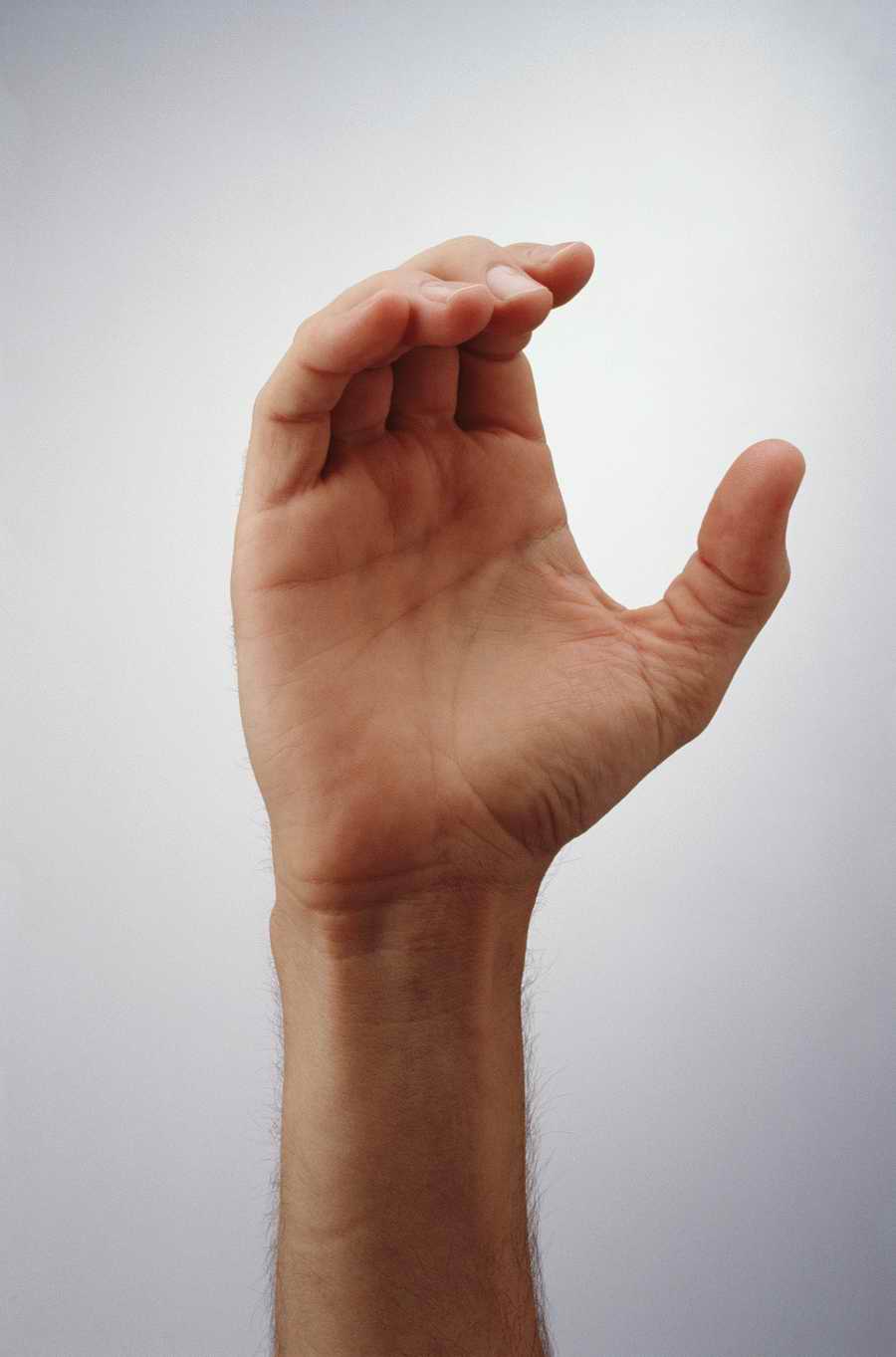 Just Hands - Photodisc Object Series ></a>
<script language=JavaScript> 
  var txt = 