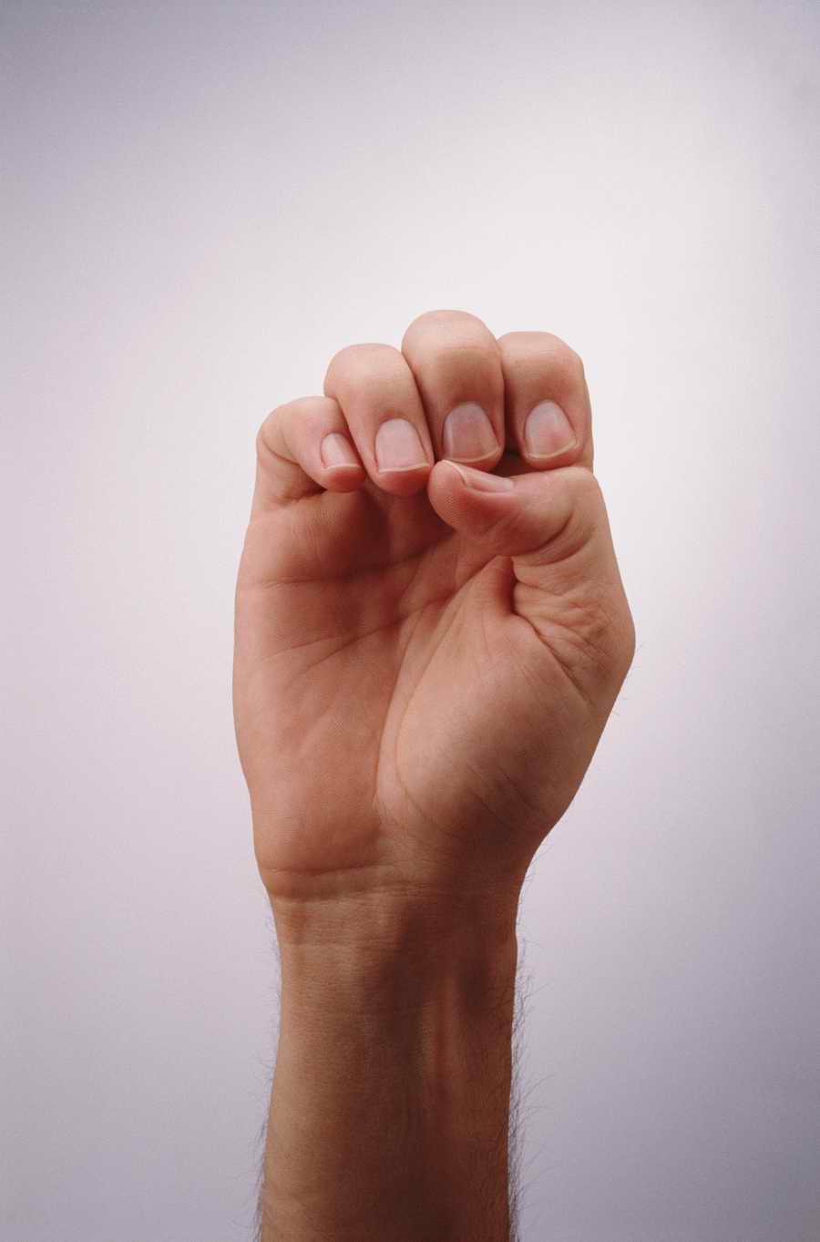 Just Hands - Photodisc Object Series ></a>
<script language=JavaScript> 
  var txt = 