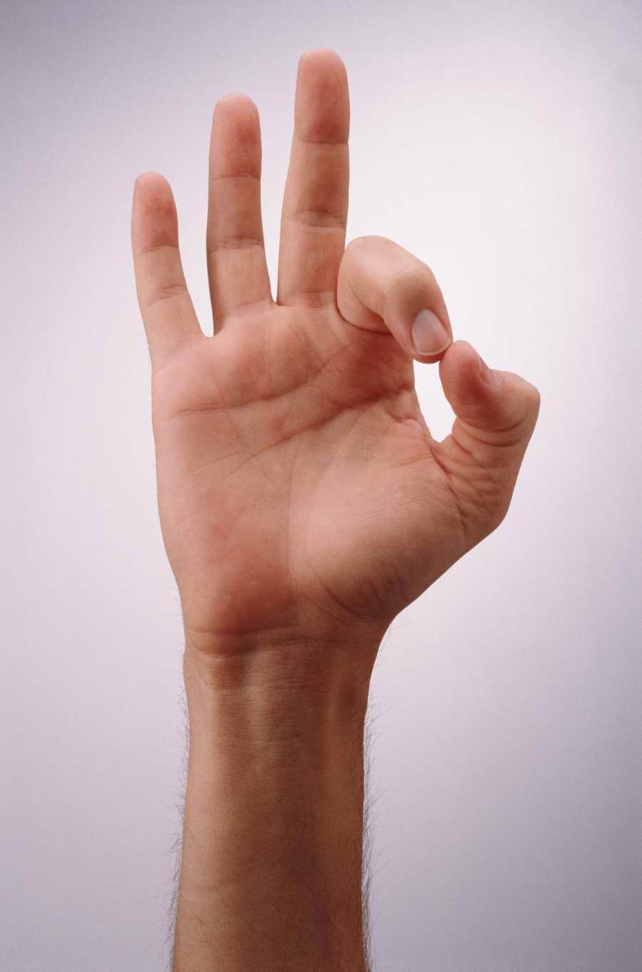 Just Hands - Photodisc Object Series ></a>
<script language=JavaScript> 
  var txt = 