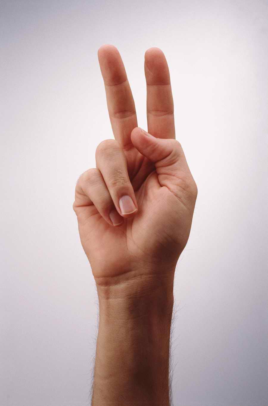 Just Hands - Photodisc Object Series ></a>
<script language=JavaScript> 
  var txt = 