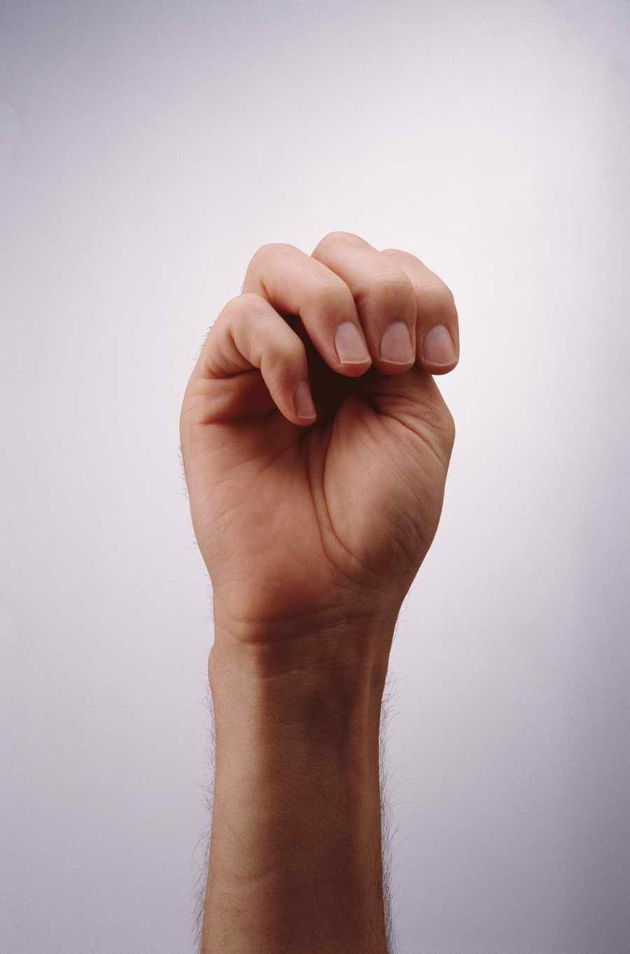 Just Hands - Photodisc Object Series ></a>
<script language=JavaScript> 
  var txt = 