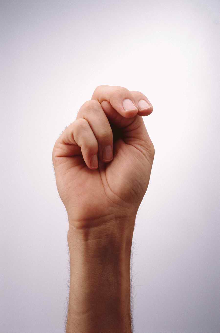 Just Hands - Photodisc Object Series ></a>
<script language=JavaScript> 
  var txt = 