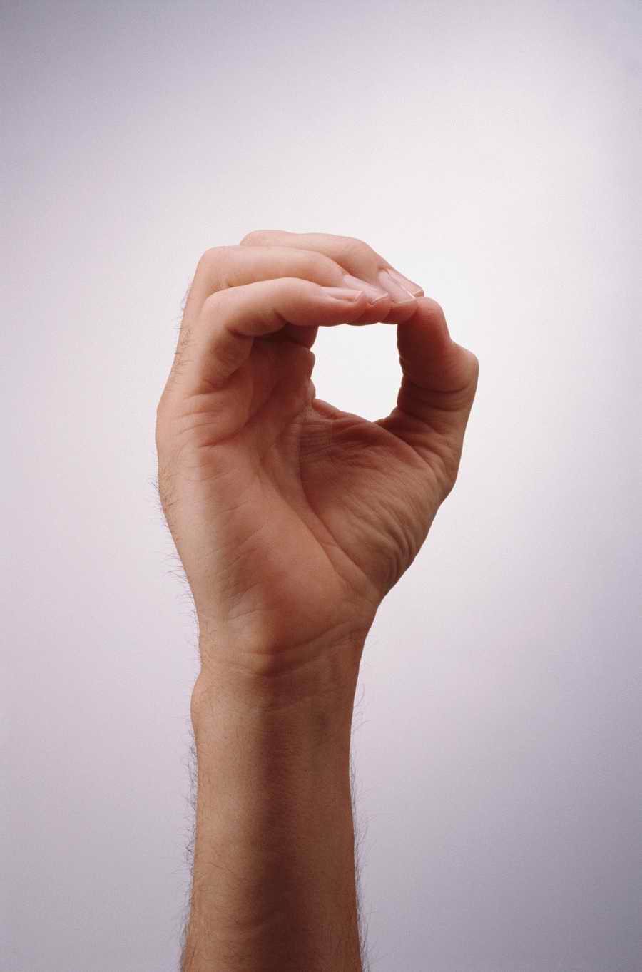 Just Hands - Photodisc Object Series ></a>
<script language=JavaScript> 
  var txt = 