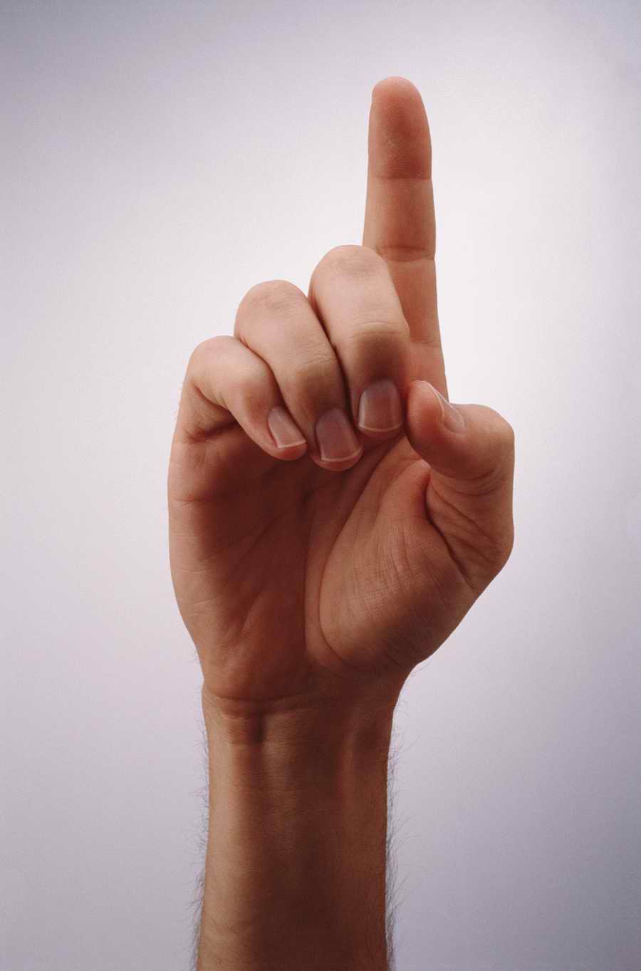 Just Hands - Photodisc Object Series ></a>
<script language=JavaScript> 
  var txt = 