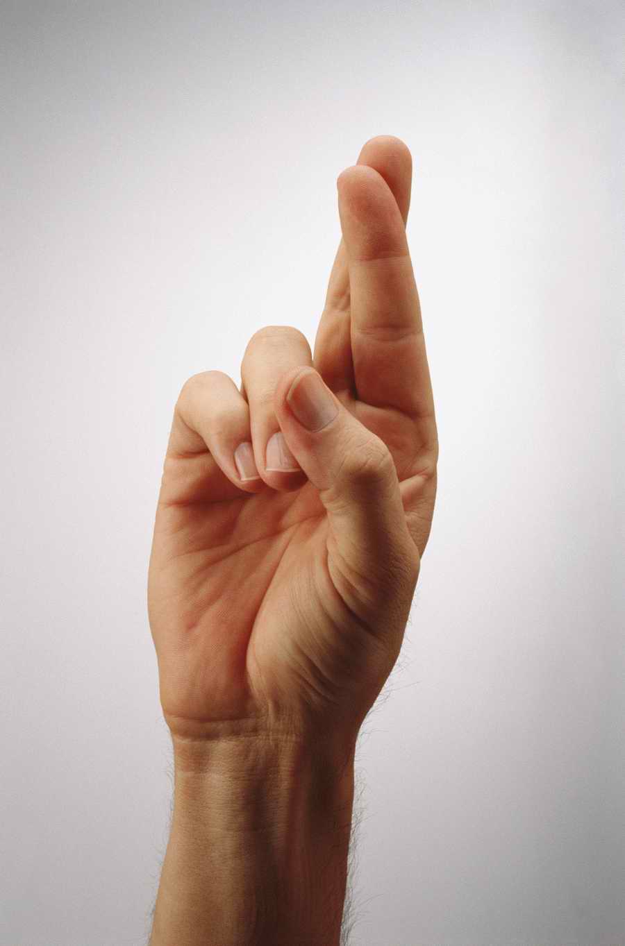 Just Hands - Photodisc Object Series ></a>
<script language=JavaScript> 
  var txt = 