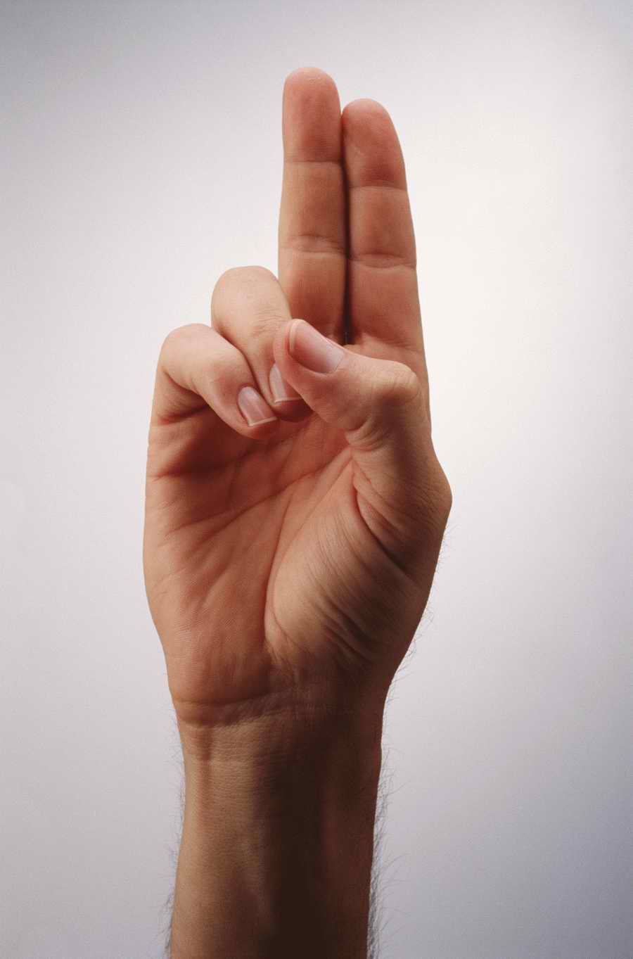 Just Hands - Photodisc Object Series ></a>
<script language=JavaScript> 
  var txt = 