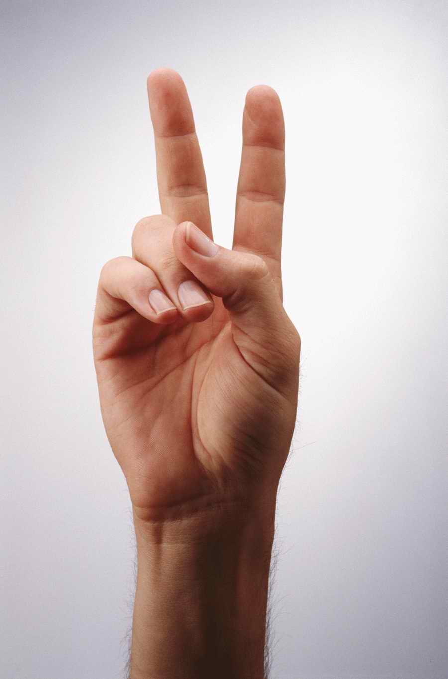 Just Hands - Photodisc Object Series ></a>
<script language=JavaScript> 
  var txt = 