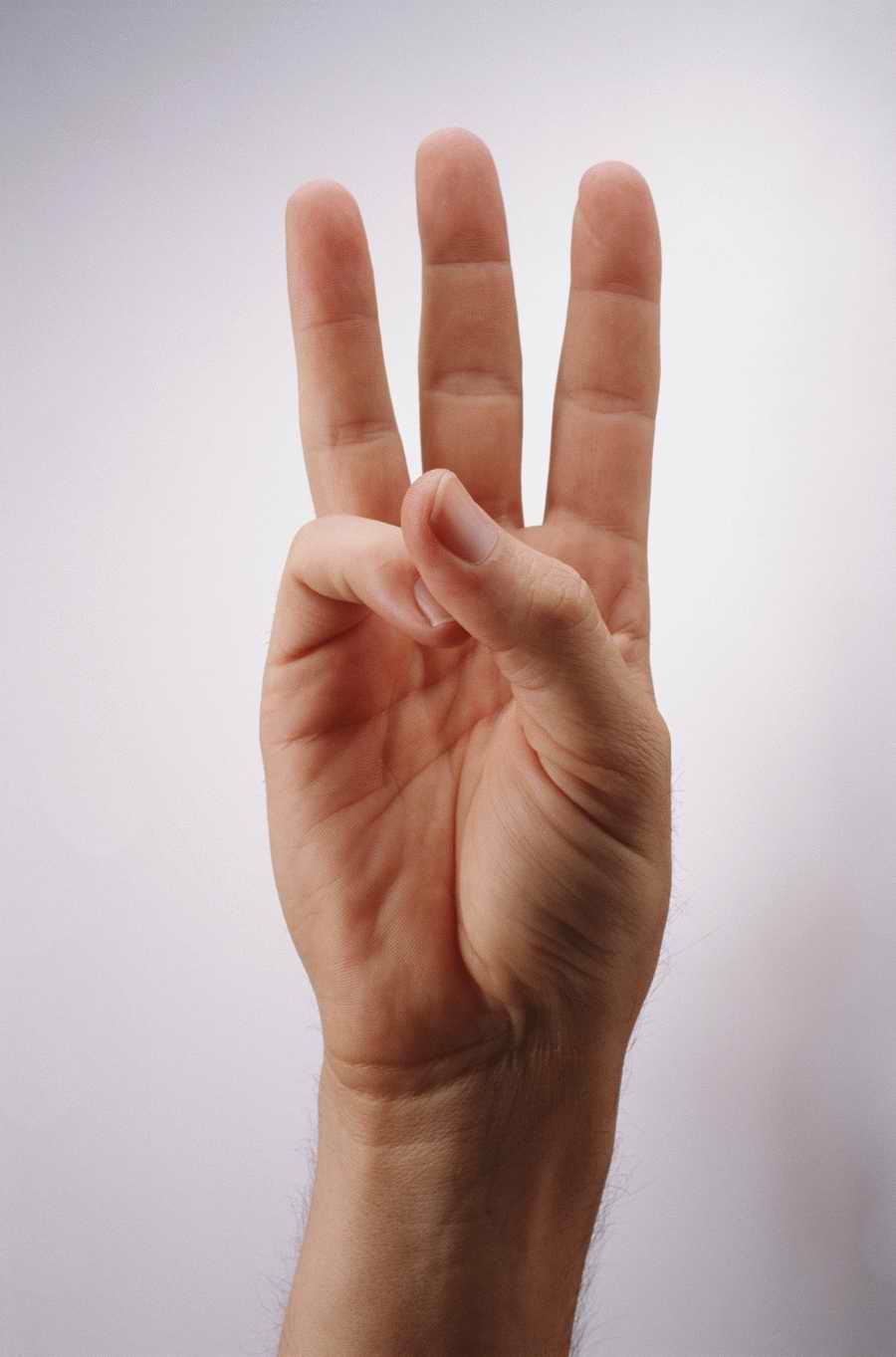 Just Hands - Photodisc Object Series ></a>
<script language=JavaScript> 
  var txt = 