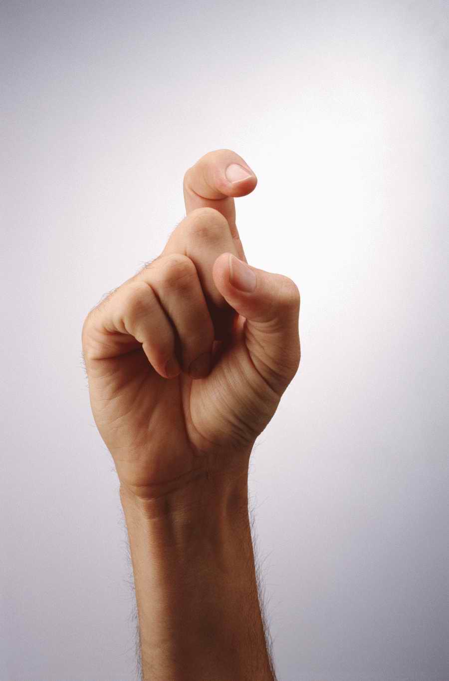 Just Hands - Photodisc Object Series ></a>
<script language=JavaScript> 
  var txt = 