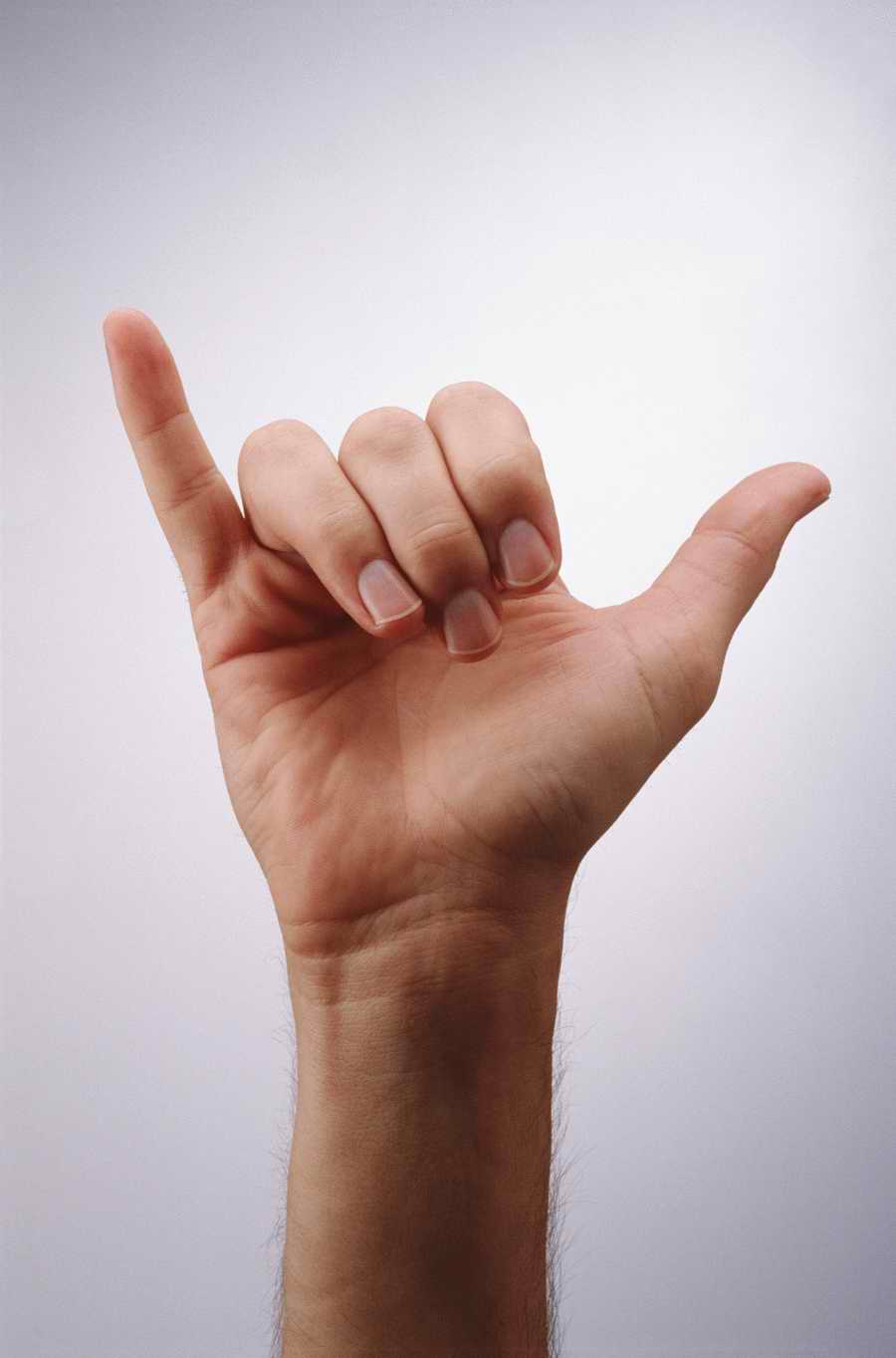 Just Hands - Photodisc Object Series ></a>
<script language=JavaScript> 
  var txt = 