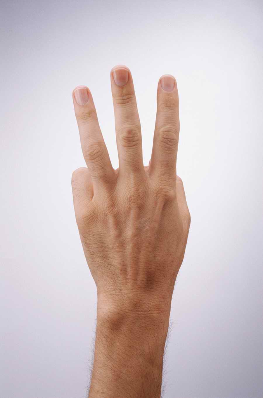 Just Hands - Photodisc Object Series ></a>
<script language=JavaScript> 
  var txt = 