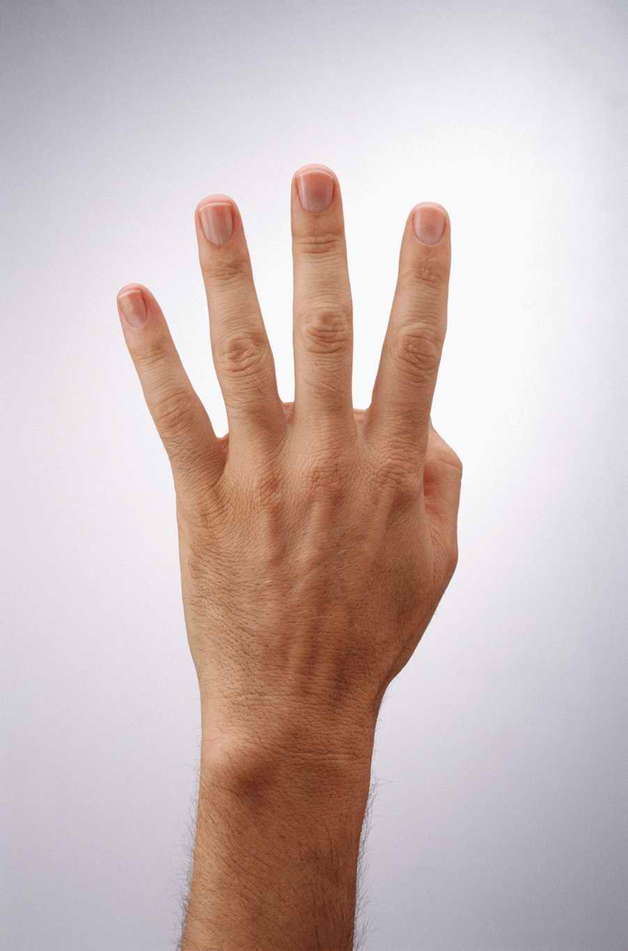 Just Hands - Photodisc Object Series ></a>
<script language=JavaScript> 
  var txt = 