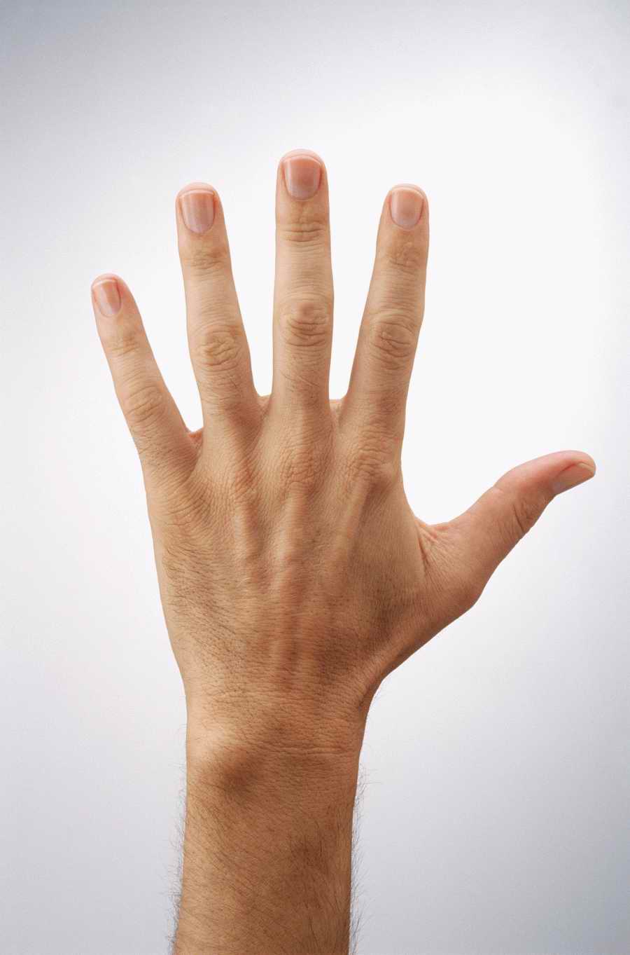 Just Hands - Photodisc Object Series ></a>
<script language=JavaScript> 
  var txt = 