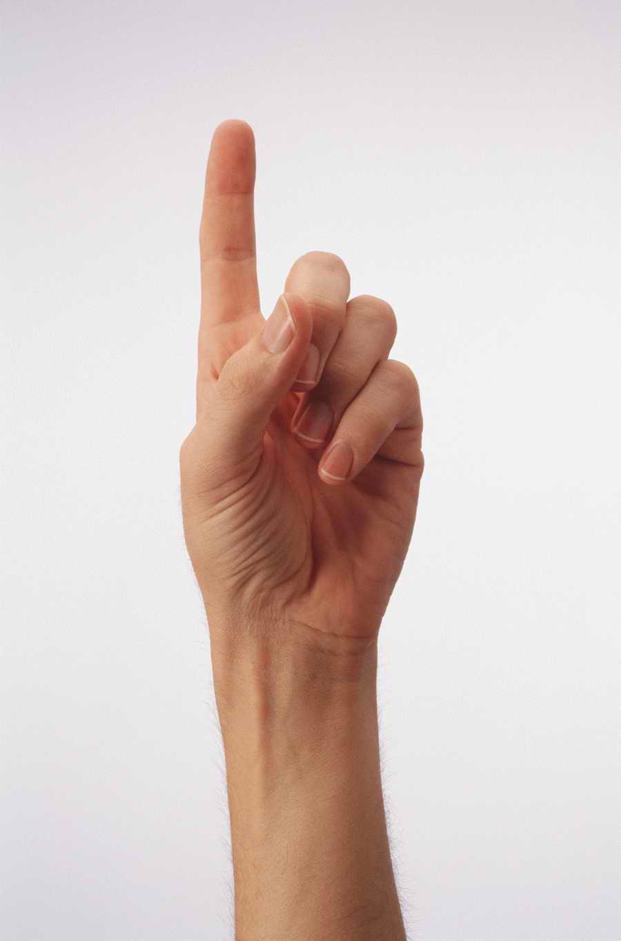 Just Hands - Photodisc Object Series ></a>
<script language=JavaScript> 
  var txt = 