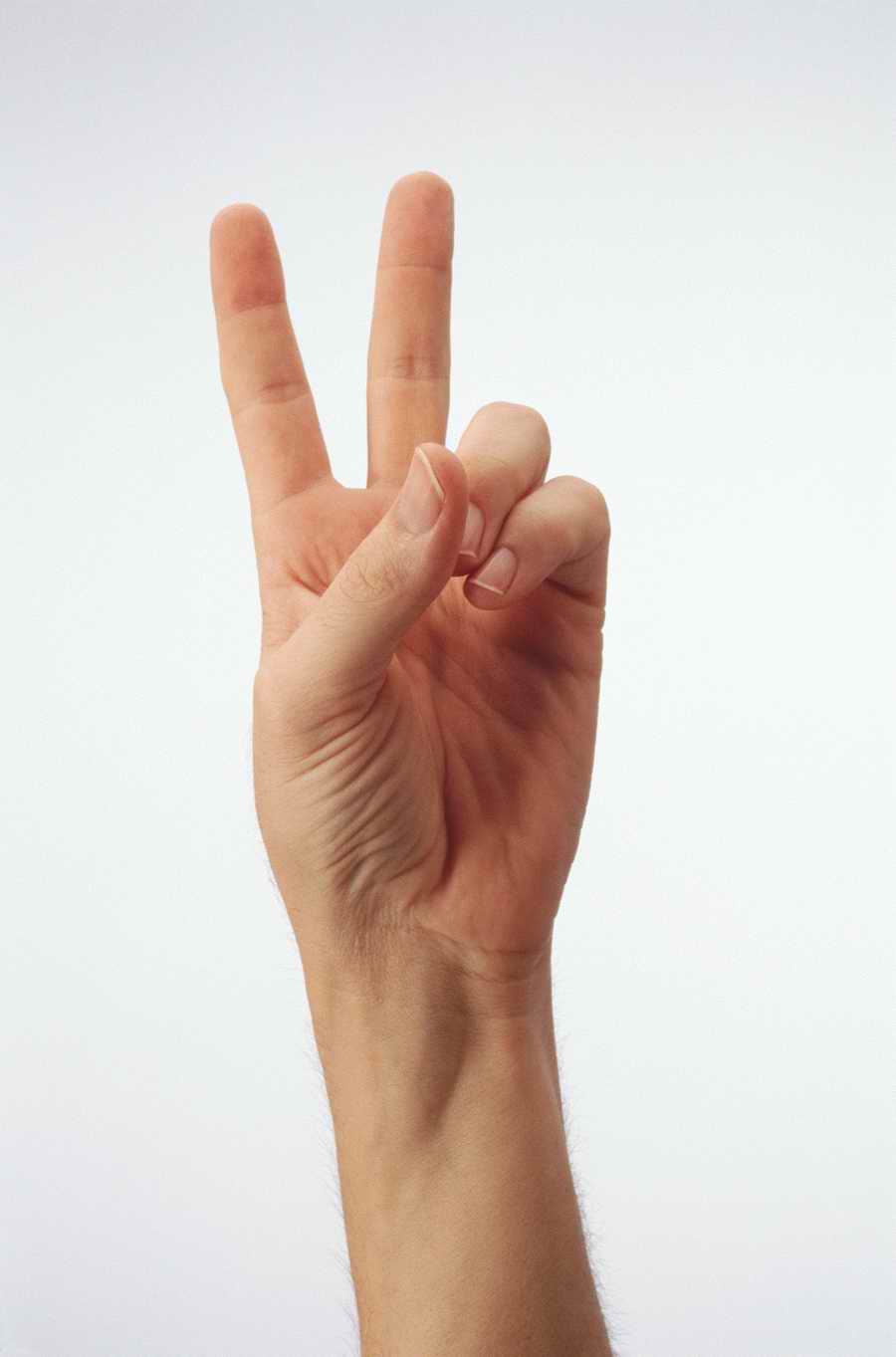 Just Hands - Photodisc Object Series ></a>
<script language=JavaScript> 
  var txt = 