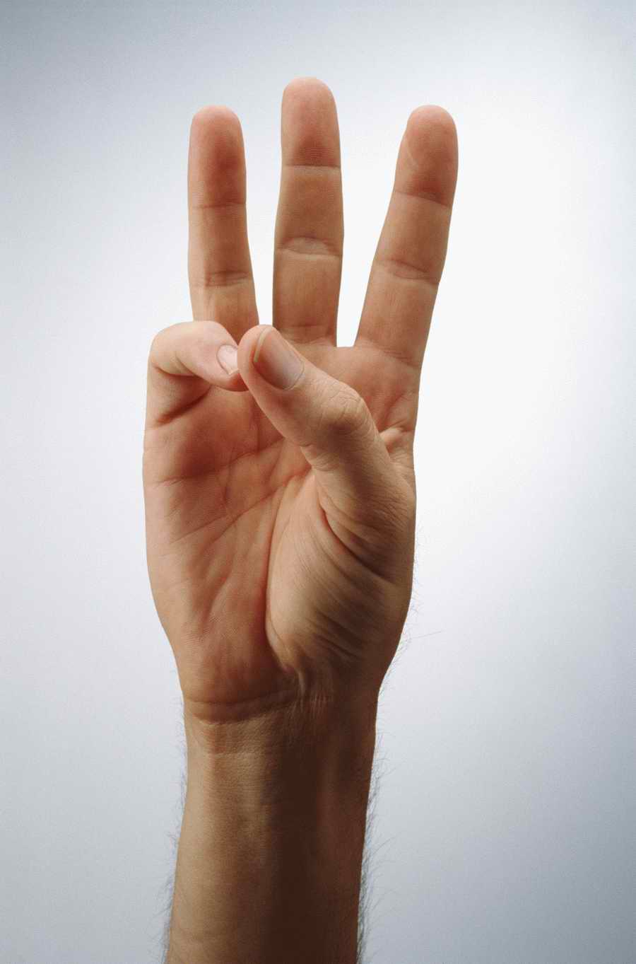 Just Hands - Photodisc Object Series ></a>
<script language=JavaScript> 
  var txt = 