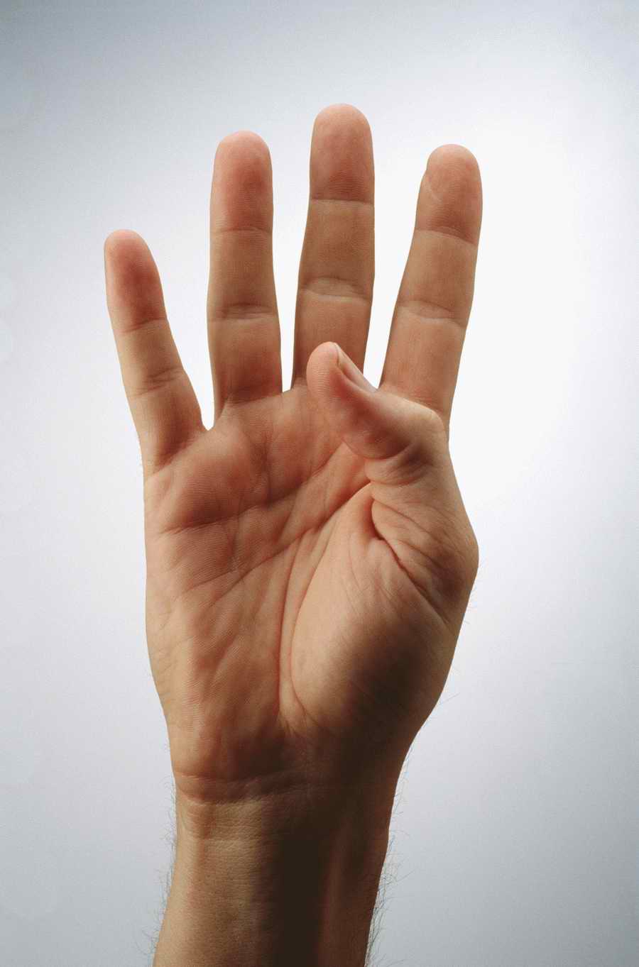 Just Hands - Photodisc Object Series ></a>
<script language=JavaScript> 
  var txt = 