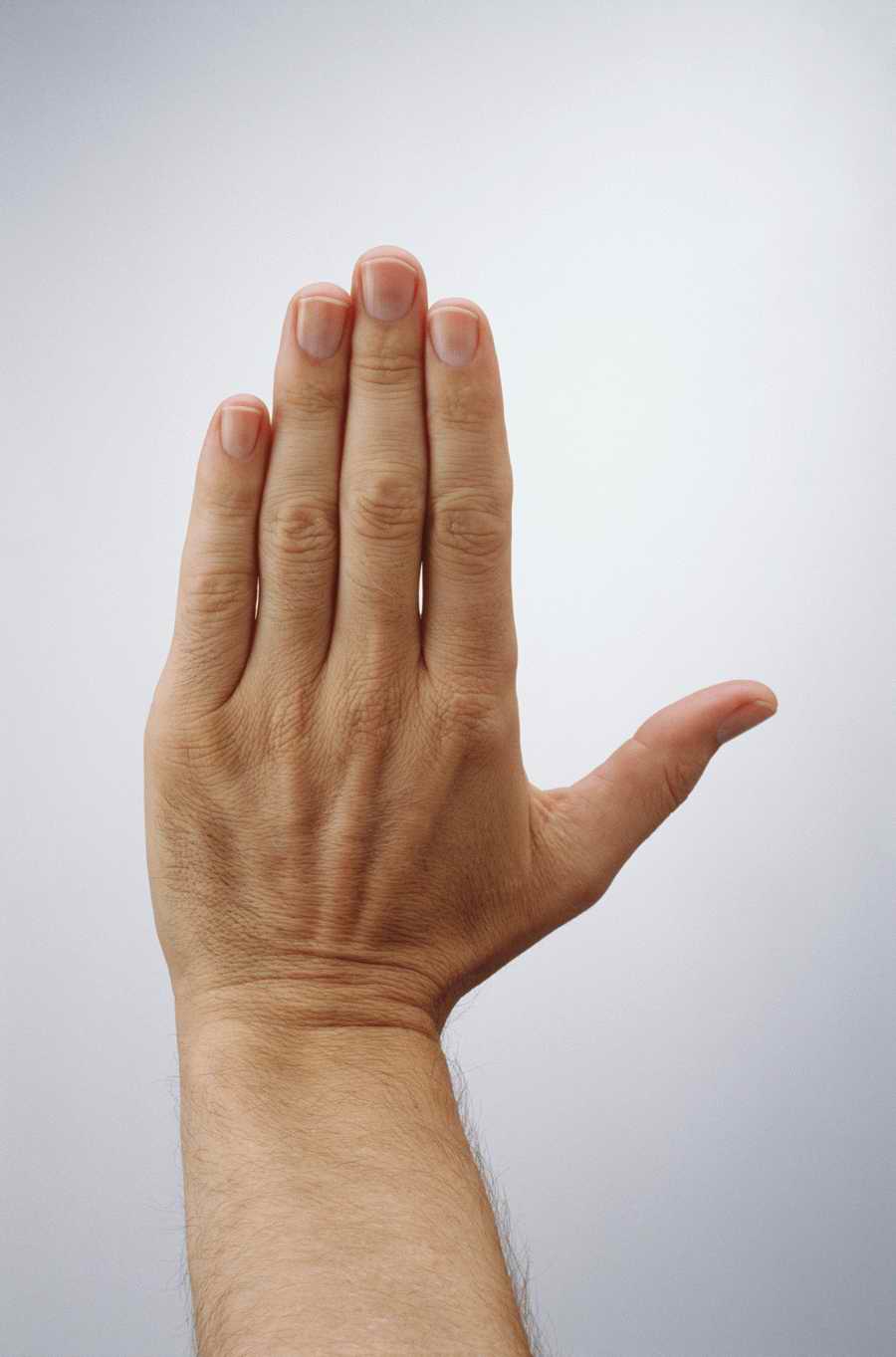 Just Hands - Photodisc Object Series ></a>
<script language=JavaScript> 
  var txt = 