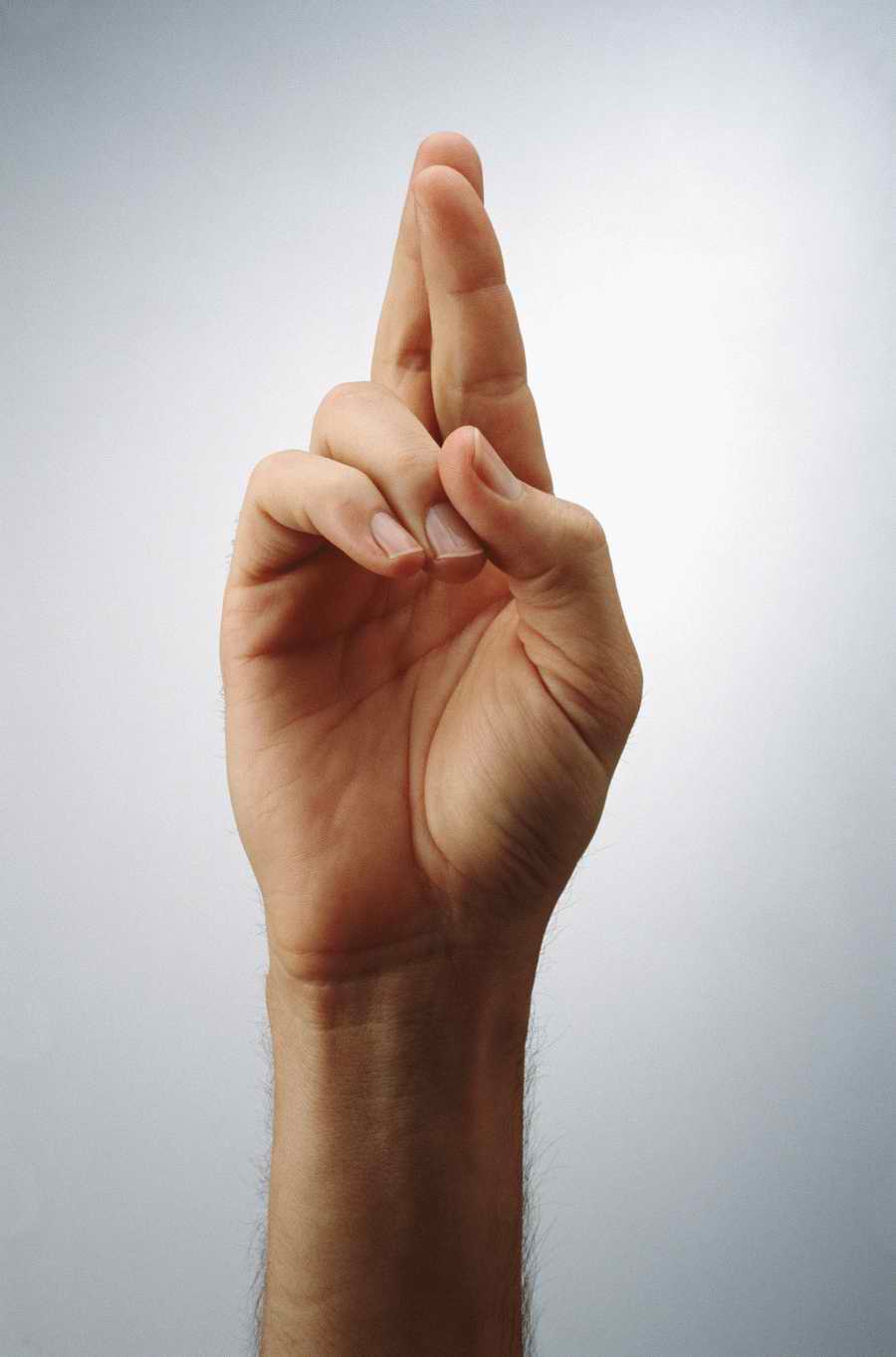 Just Hands - Photodisc Object Series ></a>
<script language=JavaScript> 
  var txt = 