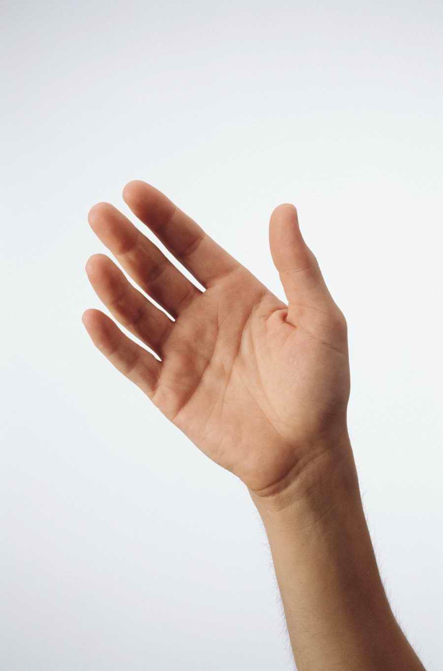 Just Hands - Photodisc Object Series ></a>
<script language=JavaScript> 
  var txt = 