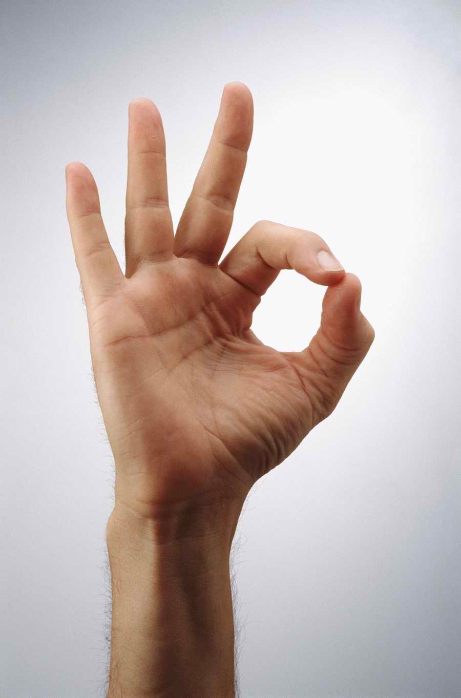 Just Hands - Photodisc Object Series ></a>
<script language=JavaScript> 
  var txt = 