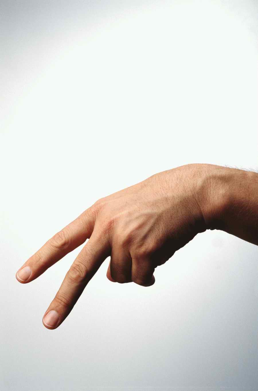 Just Hands - Photodisc Object Series ></a>
<script language=JavaScript> 
  var txt = 