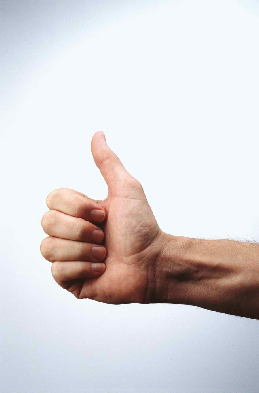 Just Hands - Photodisc Object Series ></a>
<script language=JavaScript> 
  var txt = 