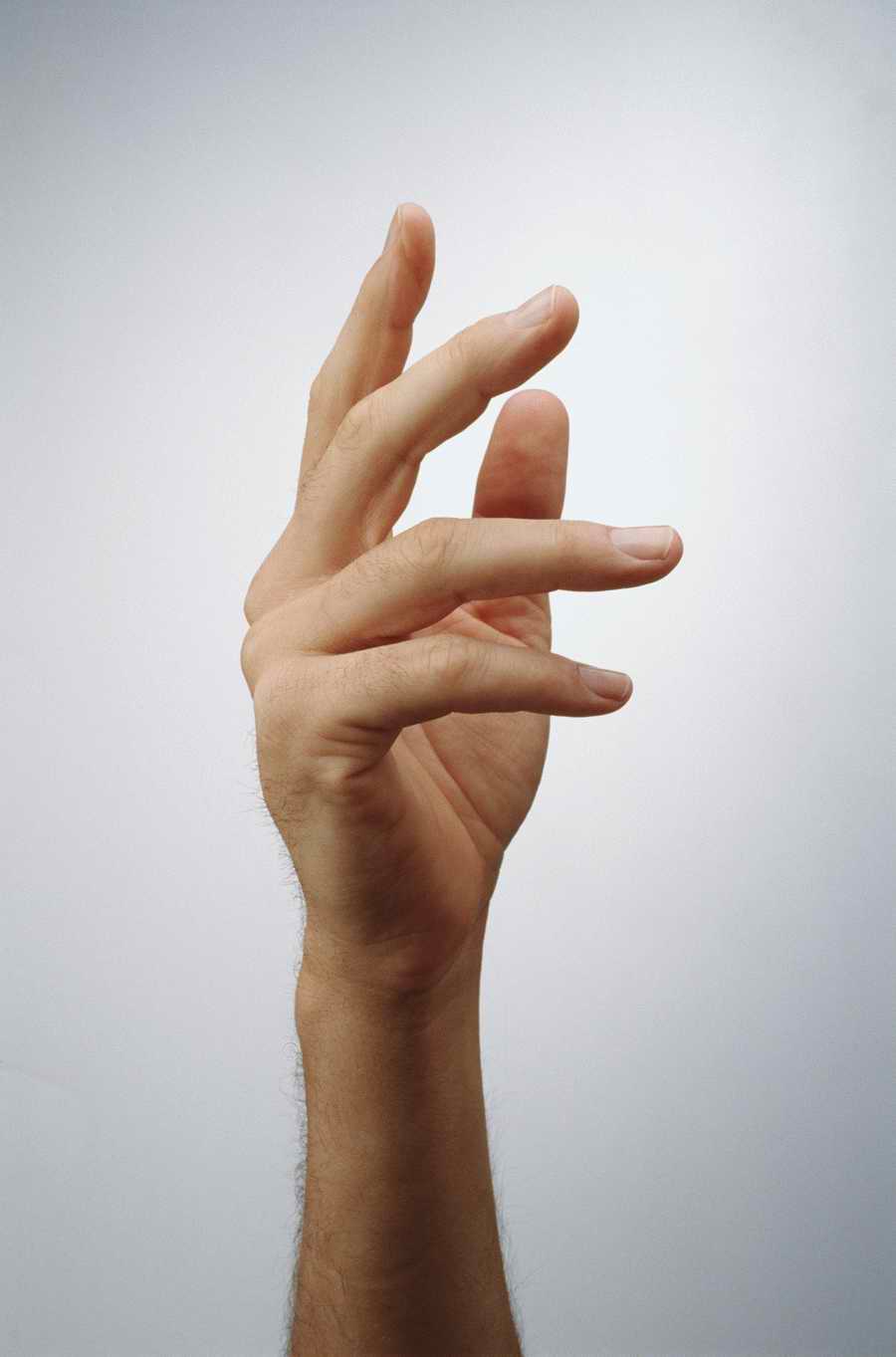 Just Hands - Photodisc Object Series ></a>
<script language=JavaScript> 
  var txt = 