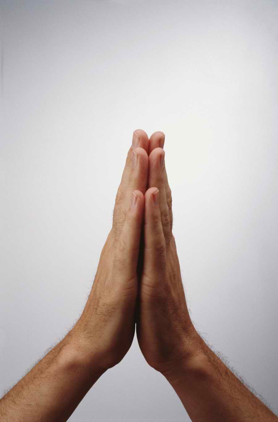 Just Hands - Photodisc Object Series ></a>
<script language=JavaScript> 
  var txt = 