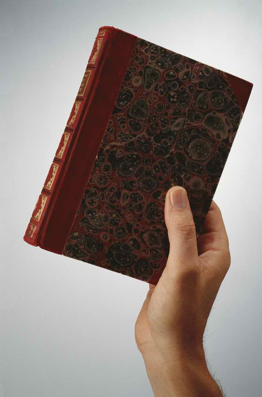 Just Hands - Photodisc Object Series ></a>
<script language=JavaScript> 
  var txt = 