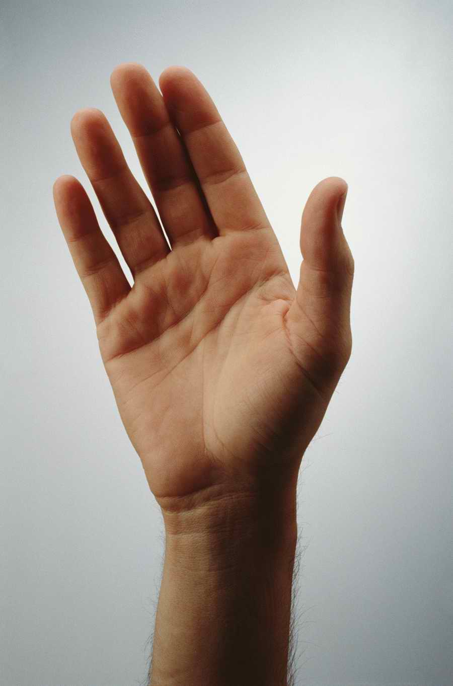 Just Hands - Photodisc Object Series ></a>
<script language=JavaScript> 
  var txt = 