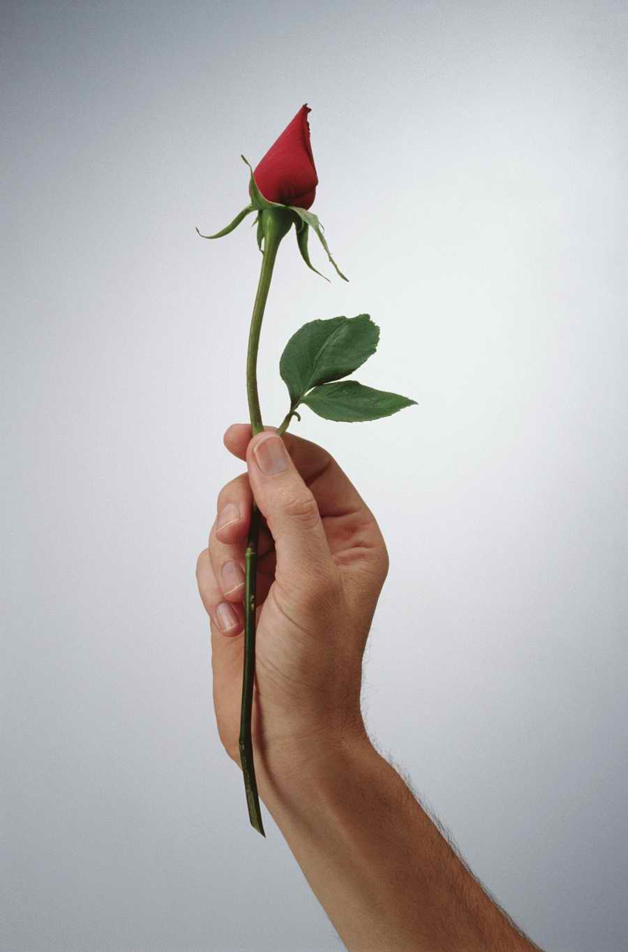 Just Hands - Photodisc Object Series ></a>
<script language=JavaScript> 
  var txt = 