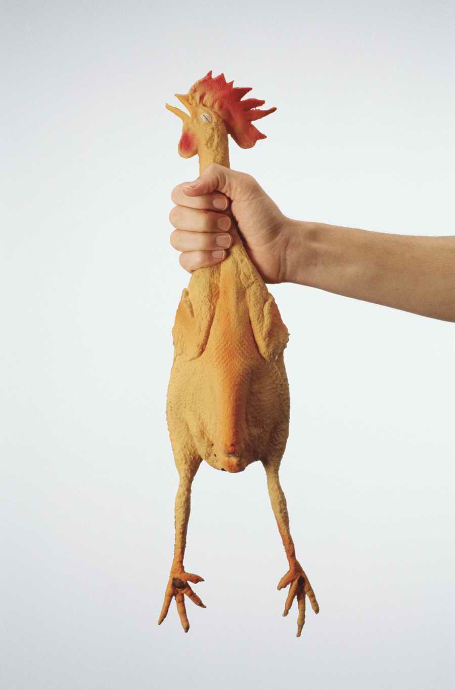 Just Hands - Photodisc Object Series ></a>
<script language=JavaScript> 
  var txt = 