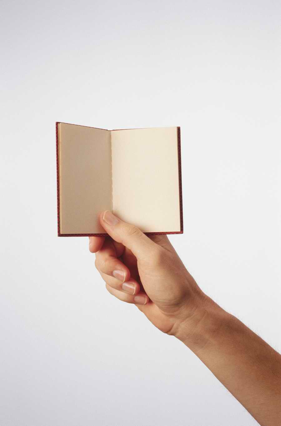 Just Hands - Photodisc Object Series ></a>
<script language=JavaScript> 
  var txt = 