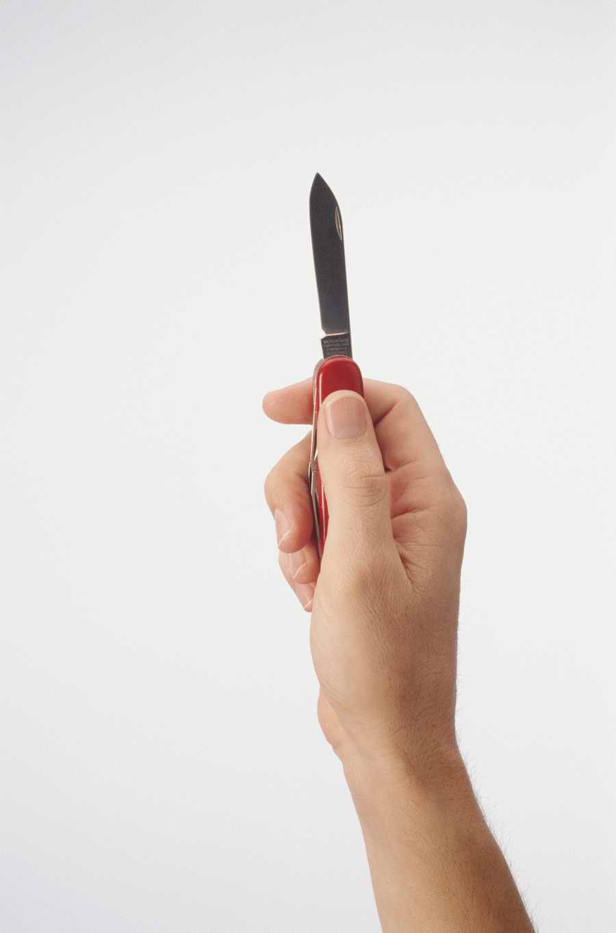 Just Hands - Photodisc Object Series ></a>
<script language=JavaScript> 
  var txt = 