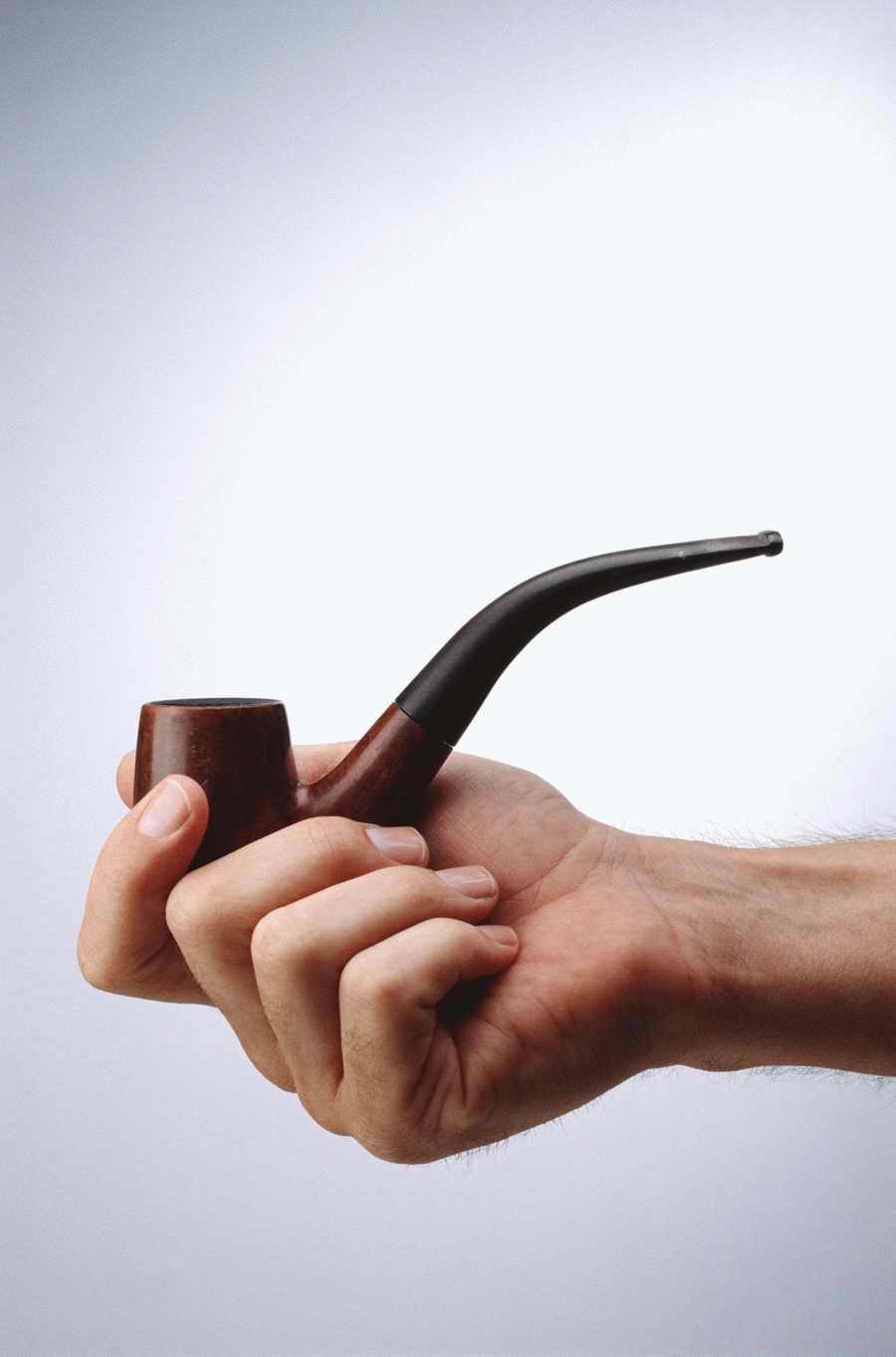 Just Hands - Photodisc Object Series ></a>
<script language=JavaScript> 
  var txt = 