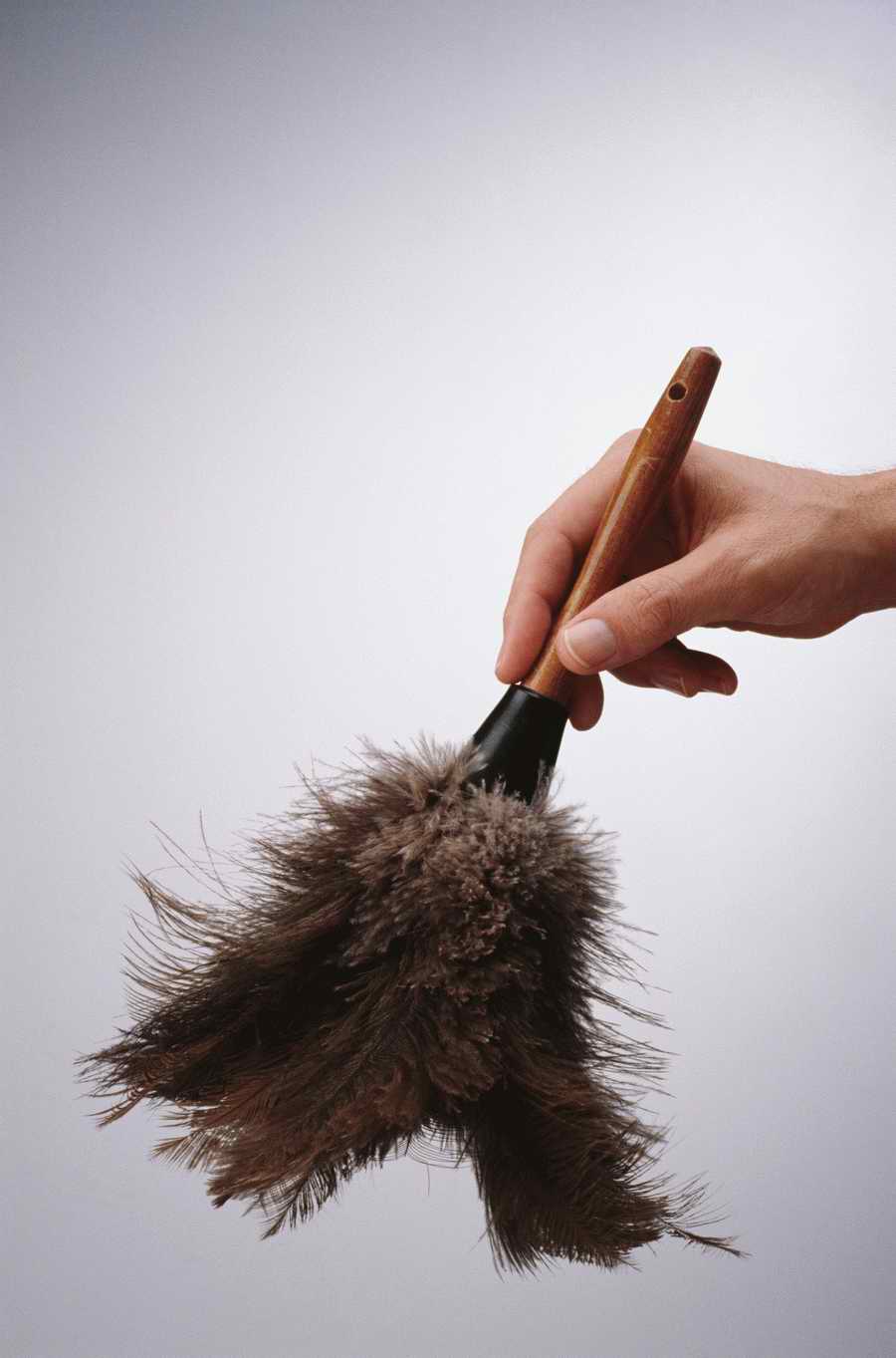 Just Hands - Photodisc Object Series ></a>
<script language=JavaScript> 
  var txt = 