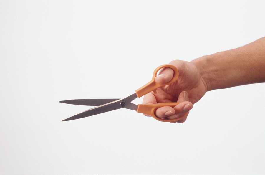 Just Hands - Photodisc Object Series ></a>
<script language=JavaScript> 
  var txt = 