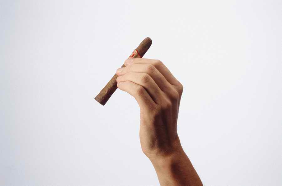 Just Hands - Photodisc Object Series ></a>
<script language=JavaScript> 
  var txt = 