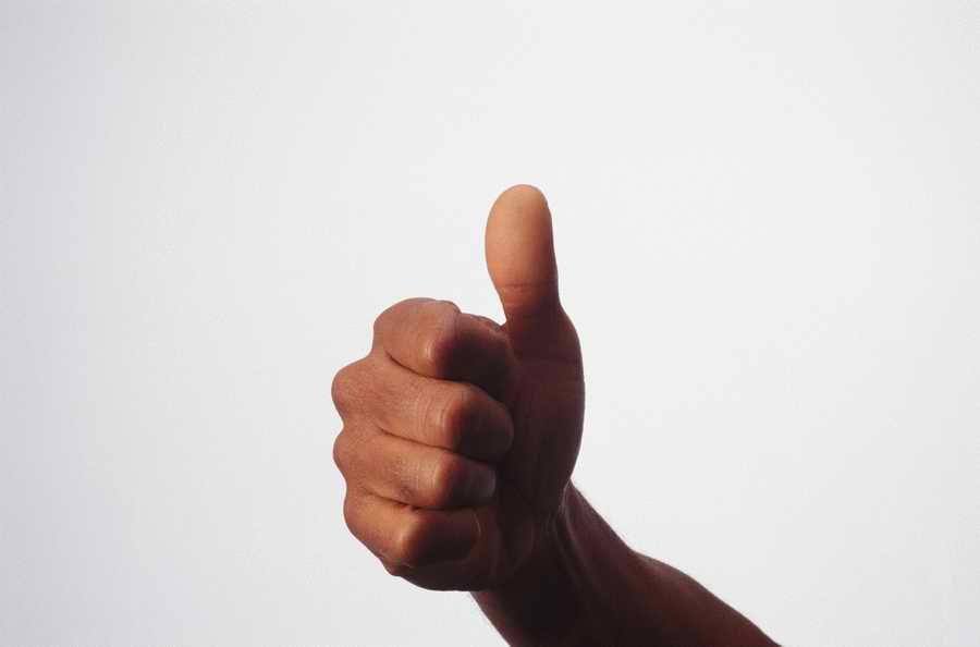 Just Hands - Photodisc Object Series ></a>
<script language=JavaScript> 
  var txt = 